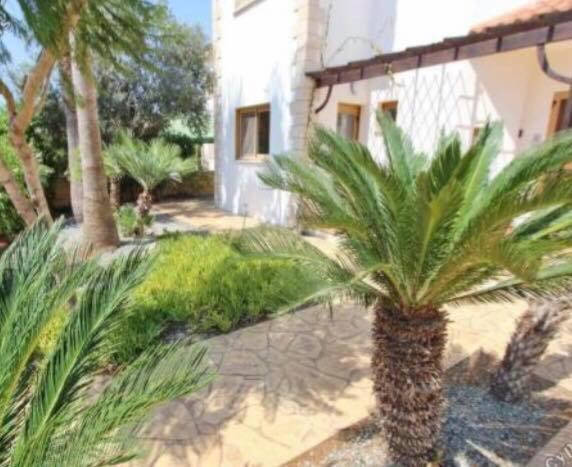 Sunrise Villa Agia Napa Exterior foto